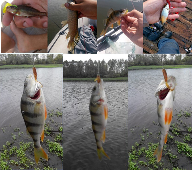 JYJ 5pcs/bag 1g jig hook with  - Fishing Lure Soft Plastic 评论和价格